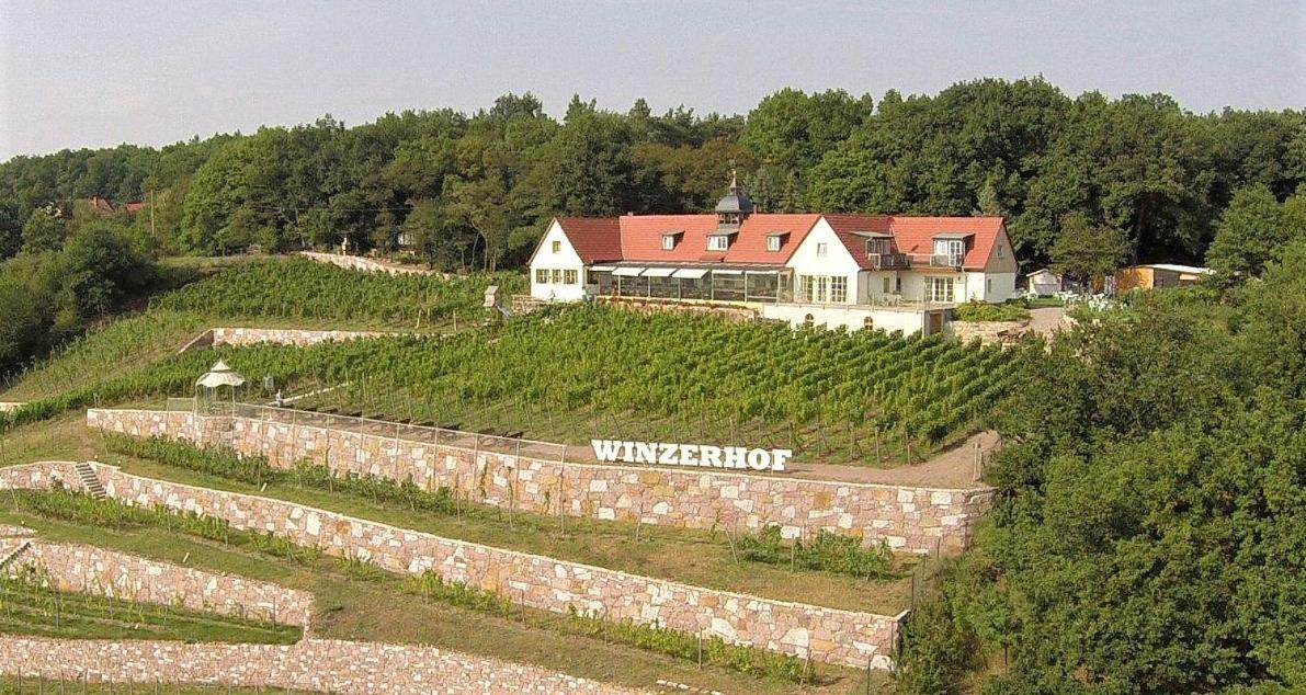 Pension Bella Vista - Winzerhof Golk Meissen Exterior foto